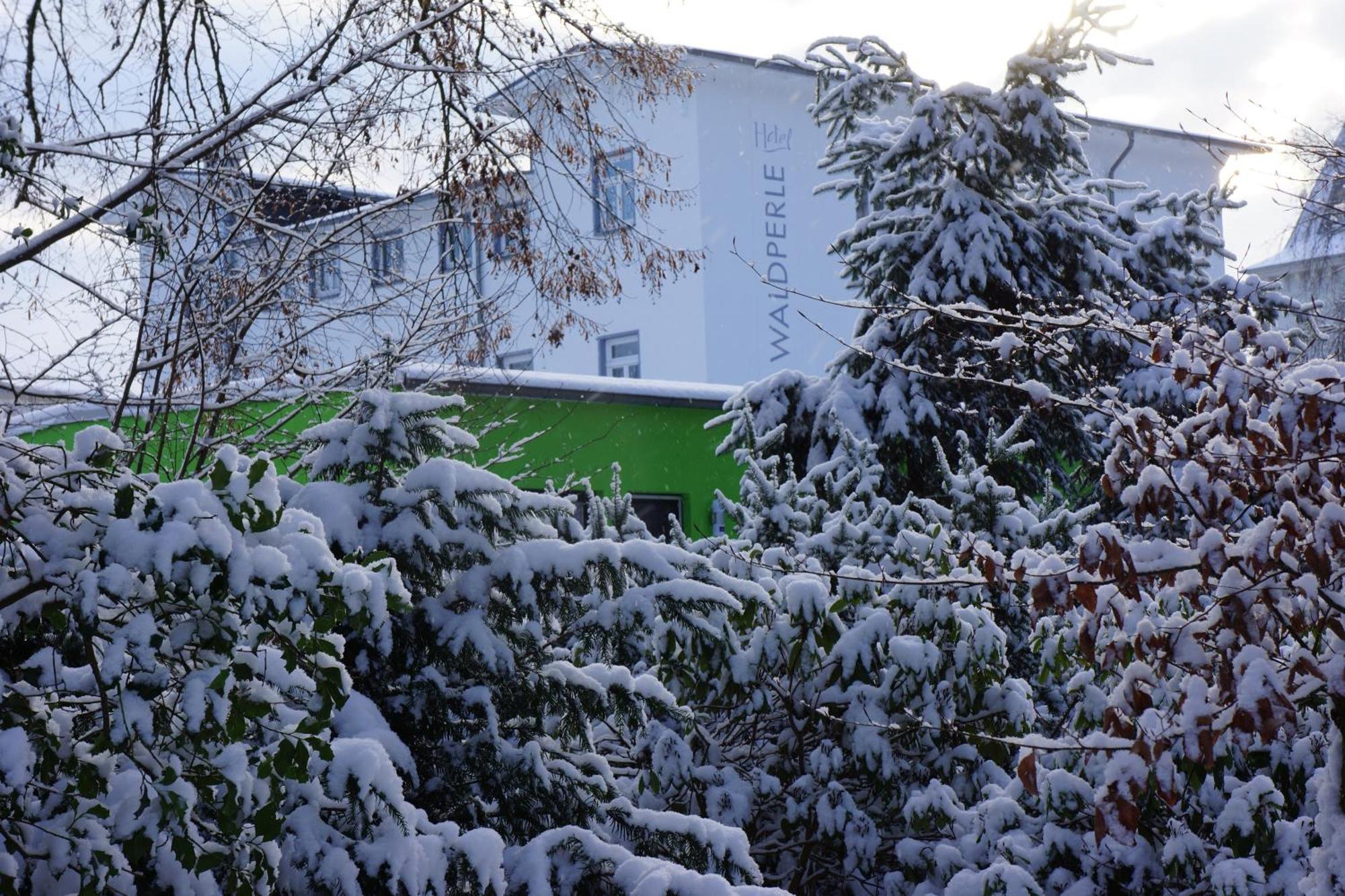 Hotel Waldperle Graal-Mueritz Exteriör bild