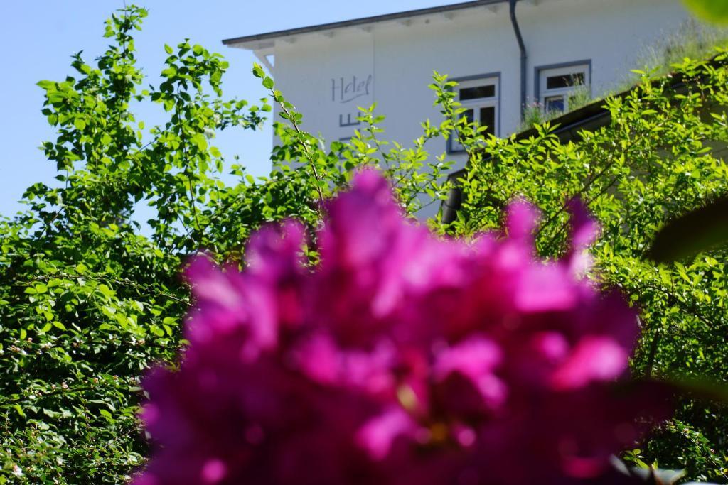 Hotel Waldperle Graal-Mueritz Exteriör bild